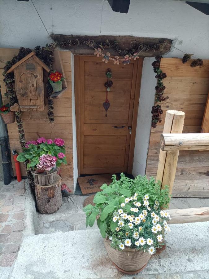 Maison Du Mont Aosta Luaran gambar